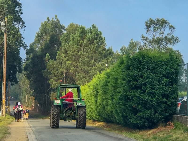 when you're walking the Camino you'll share some of the paths with locals which makes it intersesting