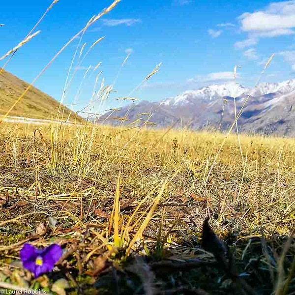 At the top of Shymbulak in the Tien Shan Mountains near Almaty, Kazakhstan.