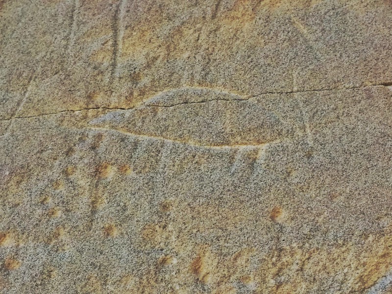 This Porcupine is one of the aboriginal rock carvings that you can see at Writing-on-Stone. 