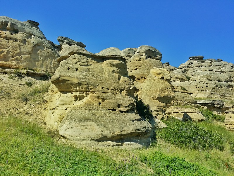 Over 160 bird species can be found in Writing-On-Stone and many make their nests in the Hoodoos. 