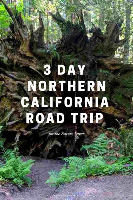 3 Day North California