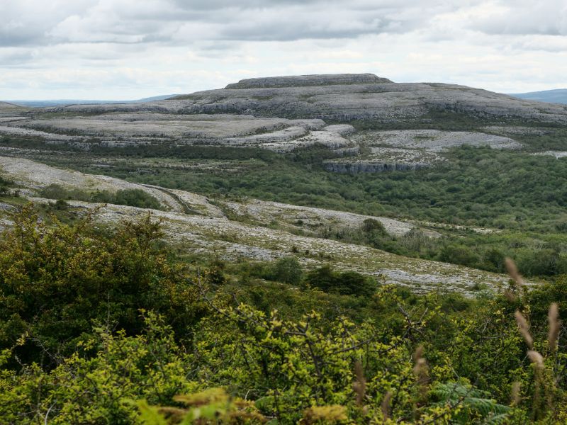 The Burren is internationally renowned for its geological features