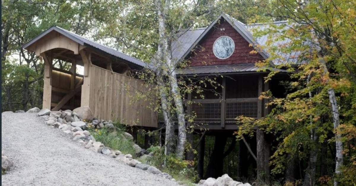 A Four Seasons Tree House in Minessota