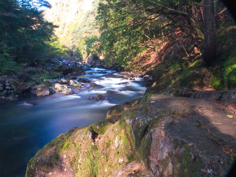 Aberglaslyn Walk, one of the best walks in Snowdonia National Park