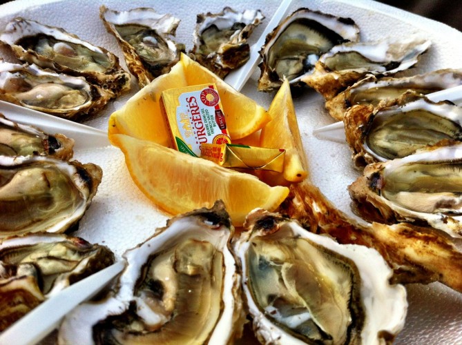 Fresh mussels on the Isle of Aix, Poitou-Charentes.