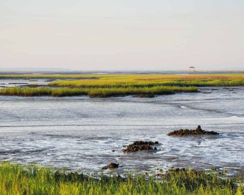 Amelia River has plenty of things to do on the Island, including kayaking and fishing.