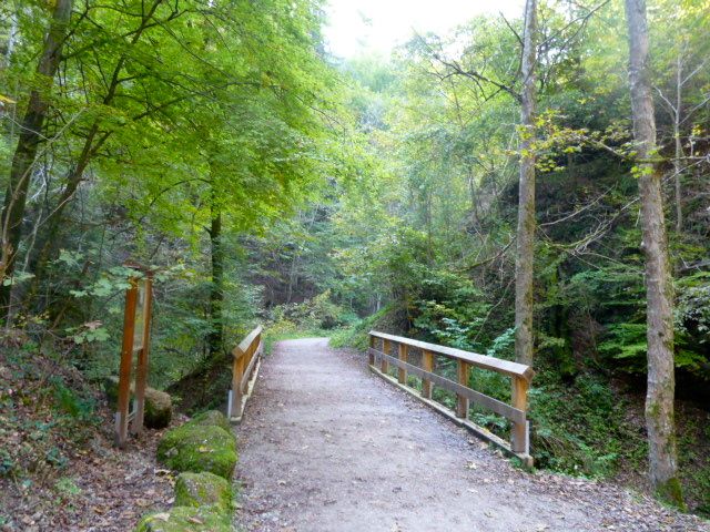 The forested path and part of the pilgrimage to Andechs.