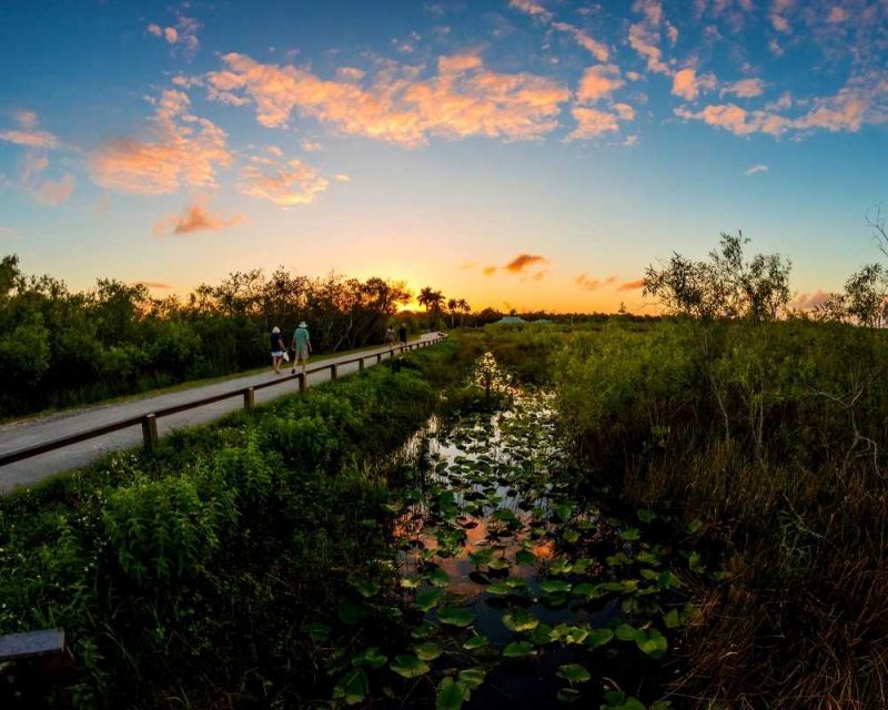 The Anhinga trail is short and perfect for the whole family. You'll see all kinds of amazing natural wonders on this hike 