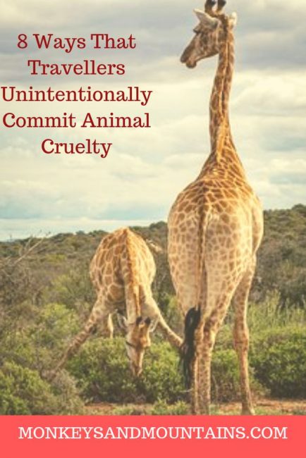 animal-cruelty-Pin-434x650