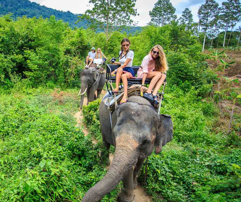 riding elephants is very cruel to the elephants