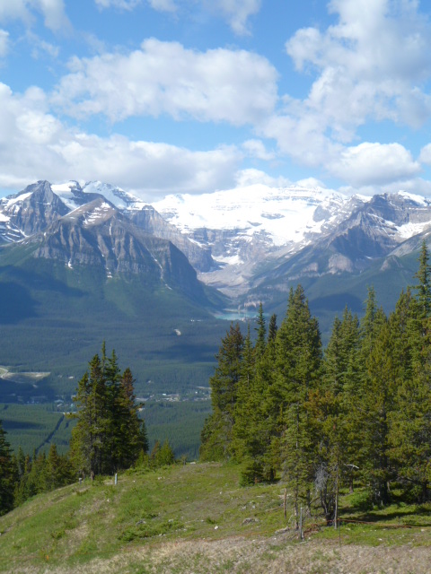 scenery from the lake louise gondola