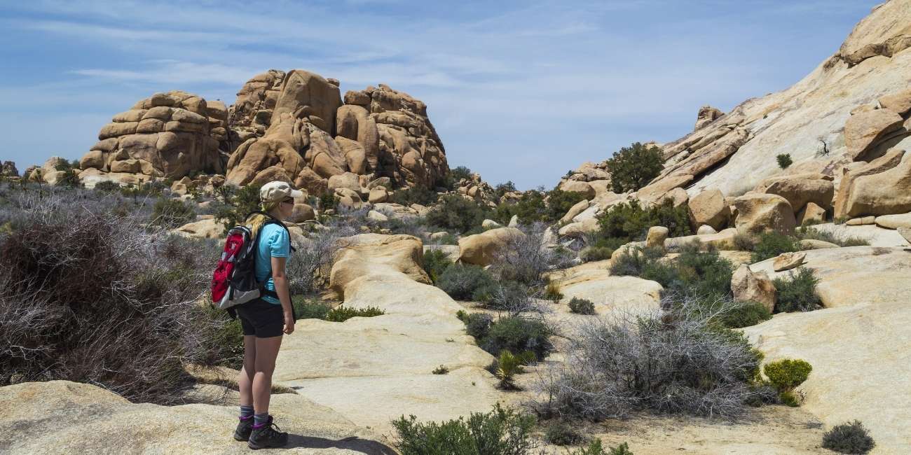 best hikes in Joshua Tree