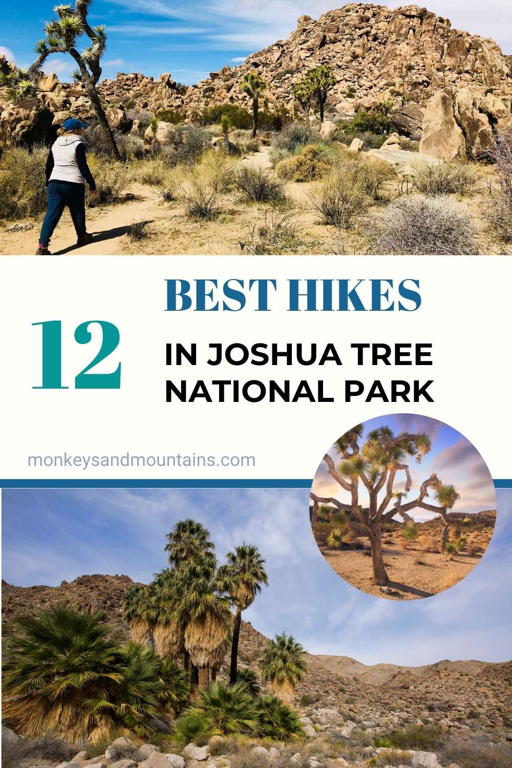 best hiking trails in Joshua Tree National Park