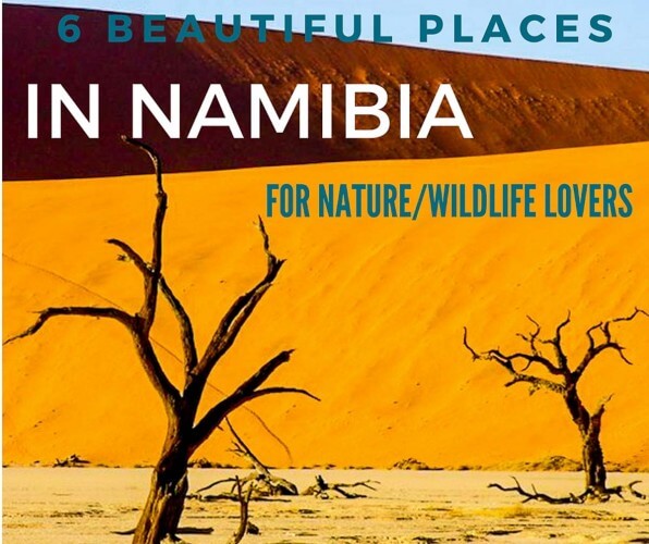 best places to visit in Namibia for nature and African wildlife lovers