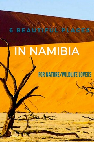 best places to visit in Namibia for nature and African wildlife lovers