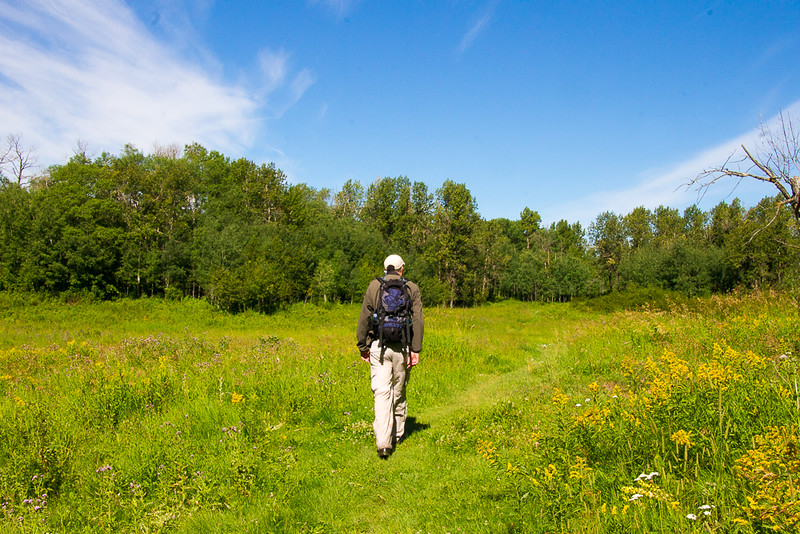 Hiking through one of the meadows found on Tawayik Lake Trail 