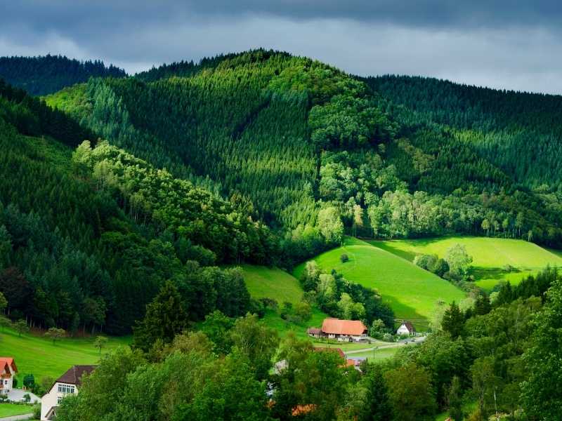 Stunning scenery in the Black Forest in Germany