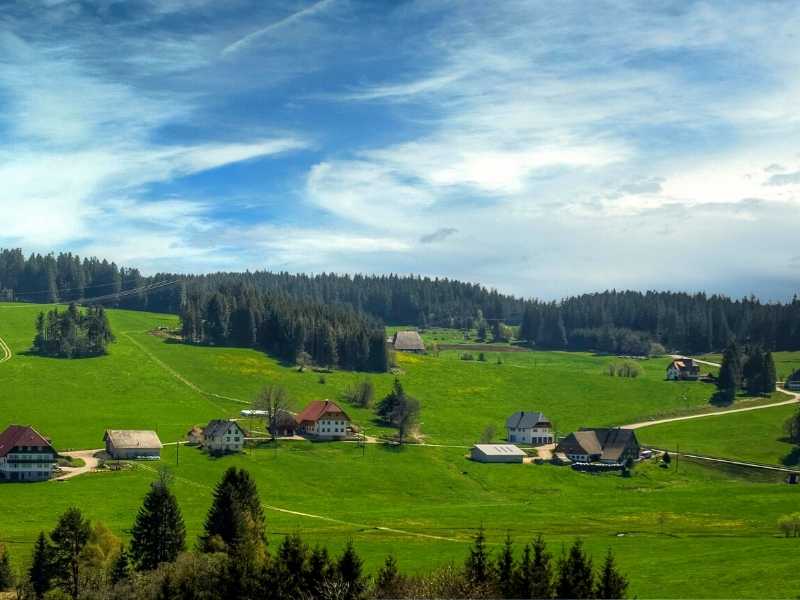 Black Forest Farmhouses