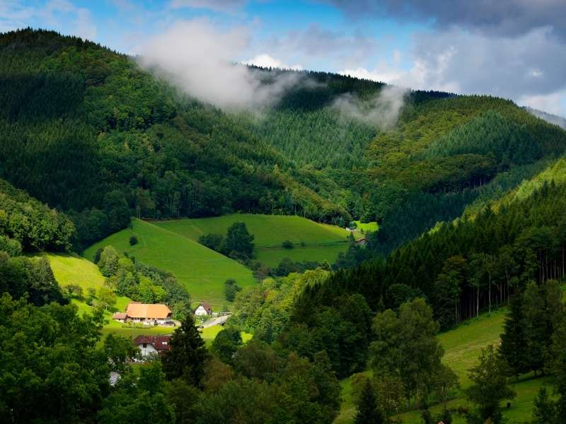 Black Forest in Germany