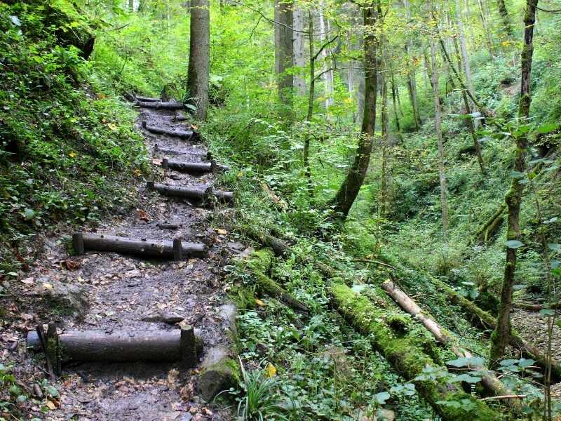 The Black Forest is the perfect place to go hiking in Germany