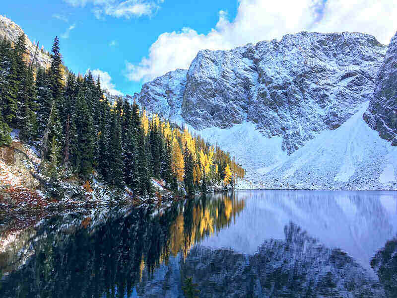 Golden Larches seen at Blue Lake Cascades, Washington