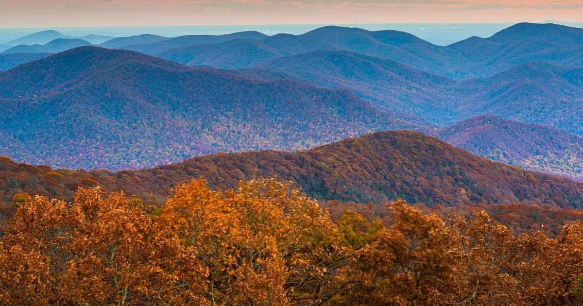 Treehouse Rentals in Georgia