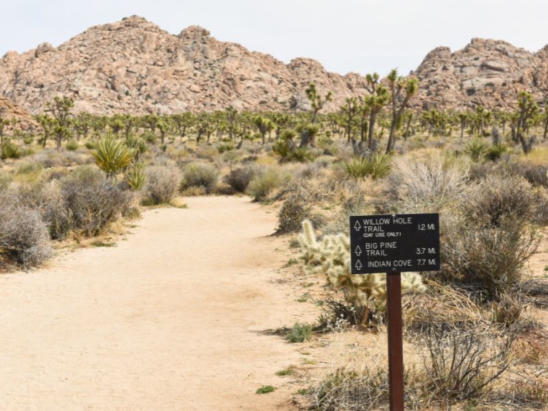 Boy scout trail is also considered a challenging route