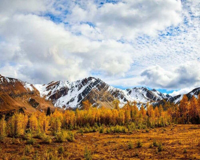 The hike at Brewer Creek is perfect during autumn