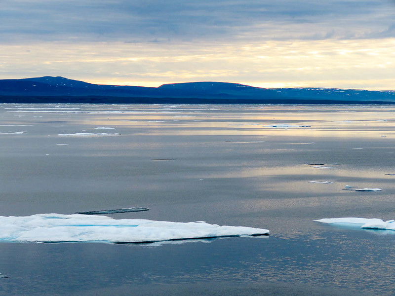 scanning the waters of the Canadian Arctic for wildlife