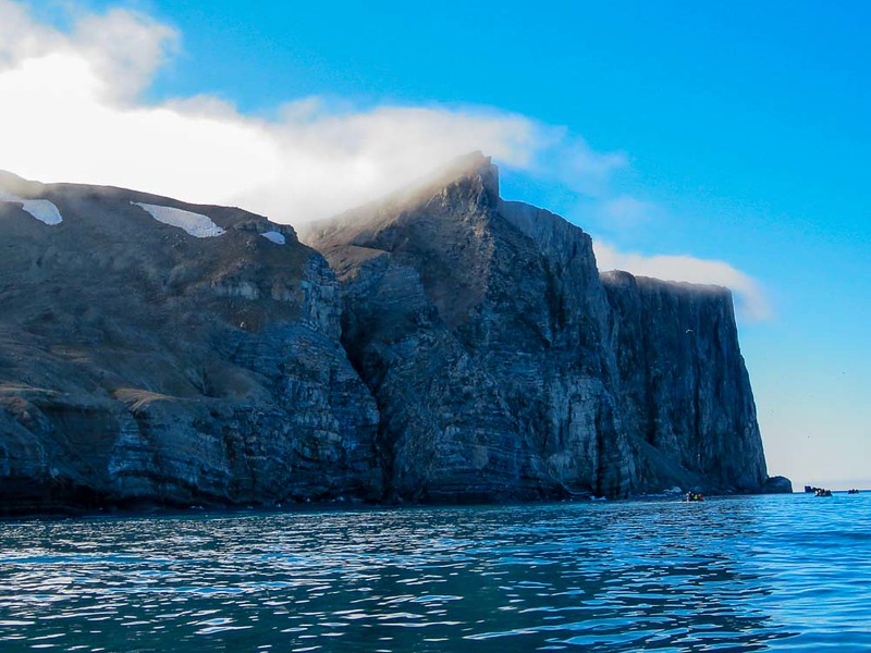 Birders will love the zodiac ride to Cape Hay.