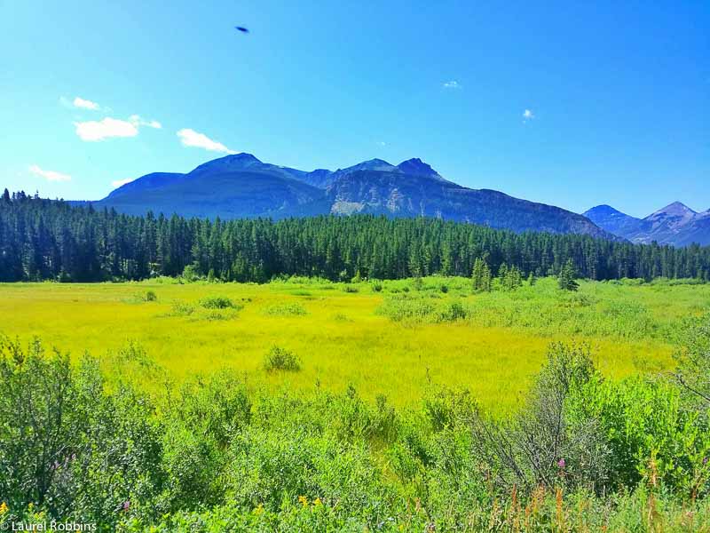 Castle Wilderness Provincial Park