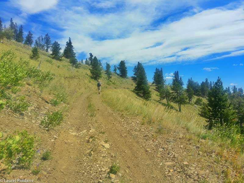 Hiking to the Carbondale Fire Lookout in the Castle Wilderness, an easy hike in southern Alberta