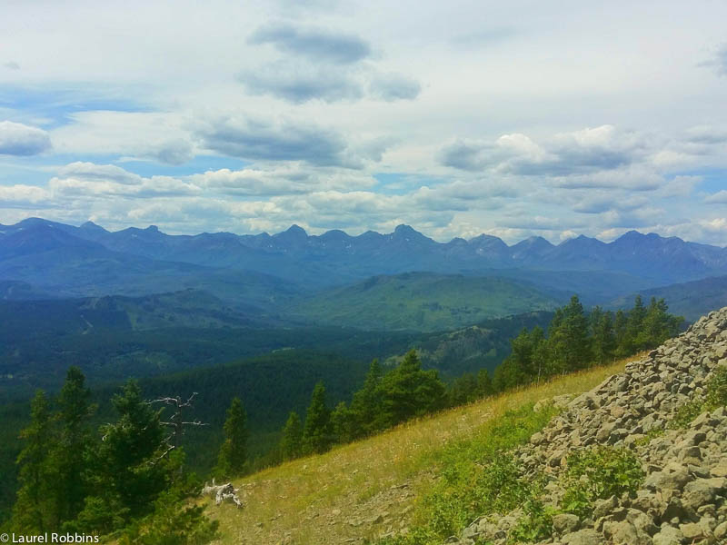 View of the Rocky Mountains in the Castle Crown Wilderness