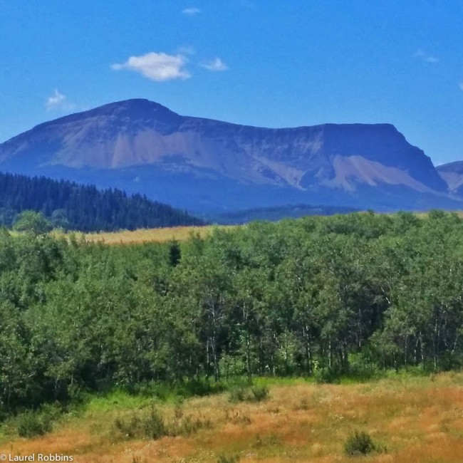 Table Mountain in the Castle Crown Wilderness