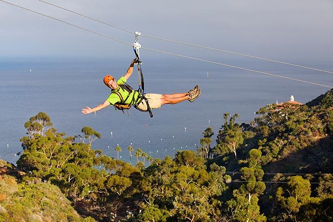 Zip Lining in California is the perfect adventure. 