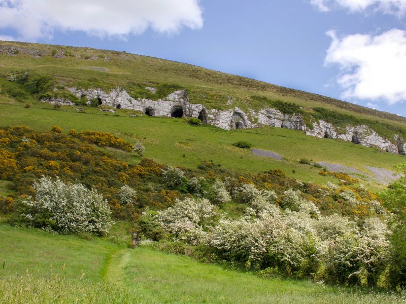 Caves of Kesh are a series of limestone caves