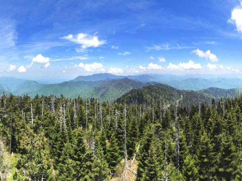 Clingmans Dome Hike