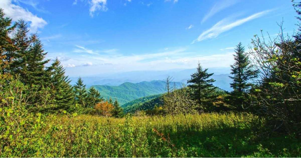 Clingmans Dome Lookout