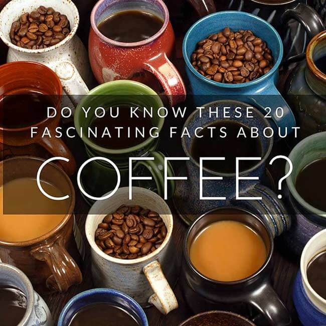 20 coffee facts that every connoisseur should know