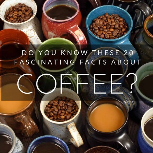 20 coffee facts that every connoisseur should know