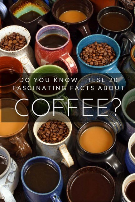 20 coffee facts that every connoisseur should know