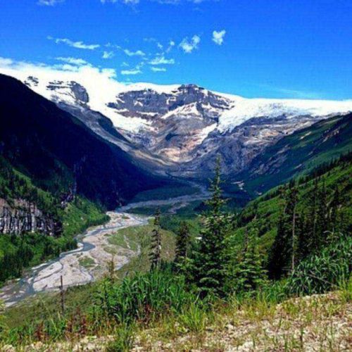 Columbia Icefields seen from afar