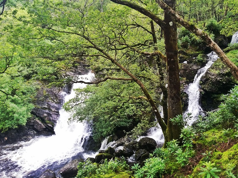 Day 3 Inversnaid Waterfall is a highlight while walking along Loch Lomond.