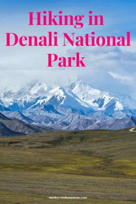 Denali National Park