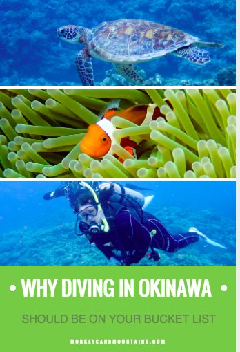 divers will love the coral reefs in the Kerama Islands in Okinawa Japan that attract many different species of fish