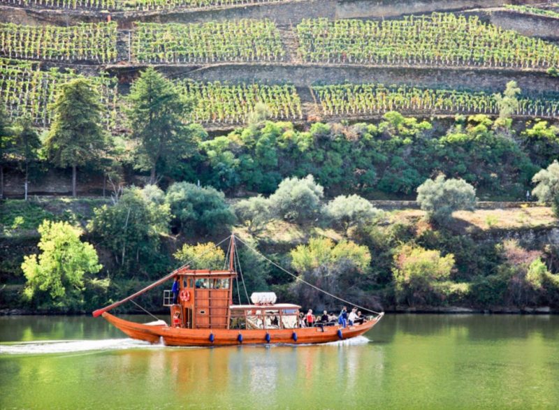 Enjoy the best wine tours in Portugal 