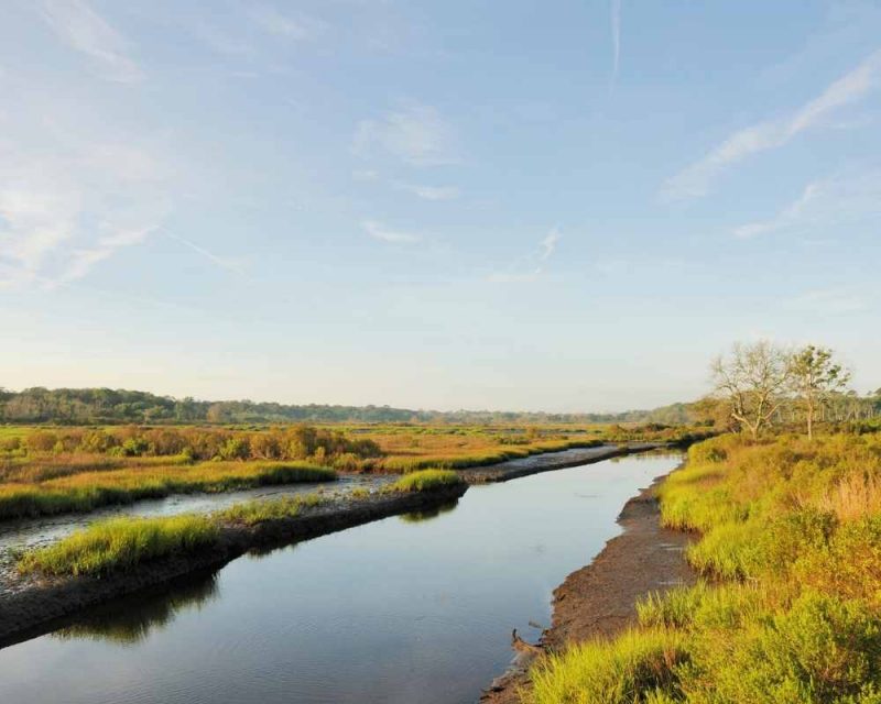 Egans Creek Greenway is a must-see and offers plenty of things to do in Amelia Island.