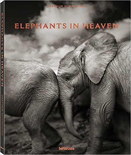 Elephants in Heaven by - Books about Elephants