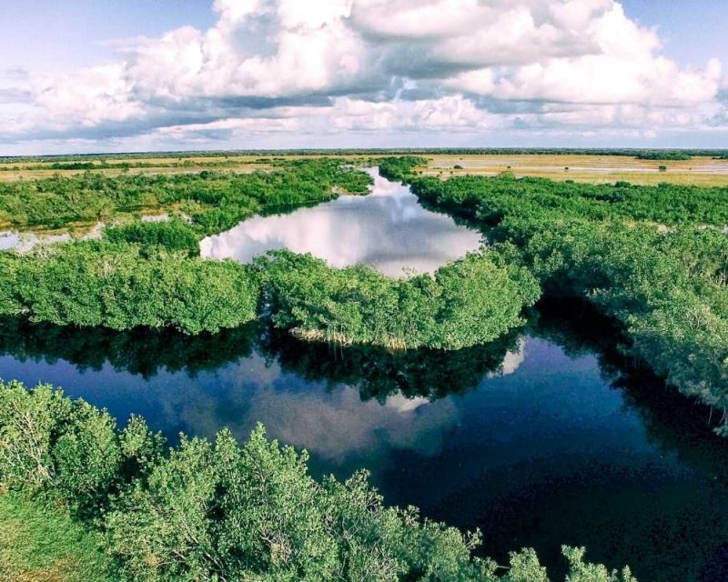 Things to do in the Everglades