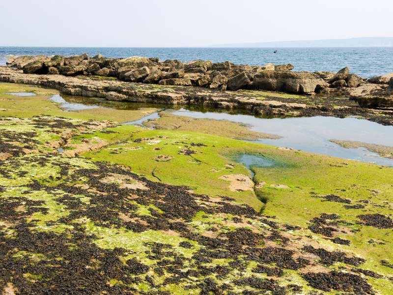 Filey, last walk of the Cleveland Way national trail